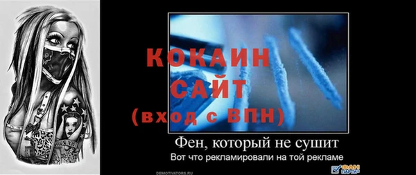 apvp Тайга