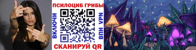 Галлюциногенные грибы GOLDEN TEACHER Верея