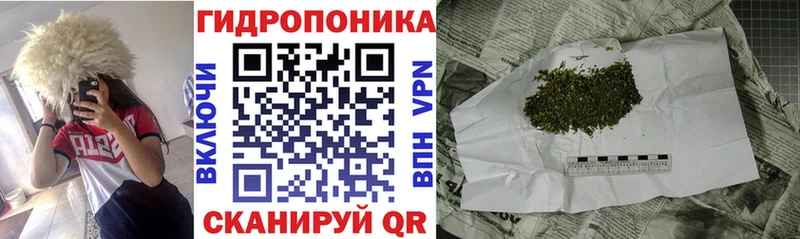 Канабис план  сайты даркнета какой сайт  Верея 